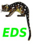 EDS